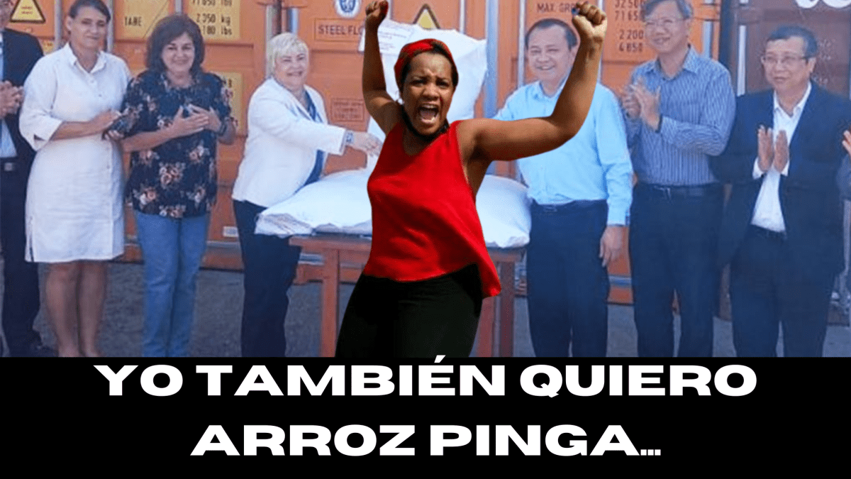 Llegó el arroz de Vietnam y chucha sigue sin jama.